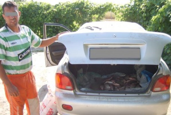 Zeci de kilograme de peşte braconat, descoperite de Garda de Coastă
